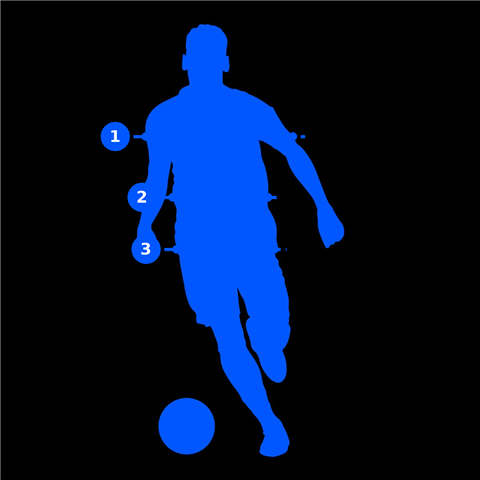 Player with measurement lines